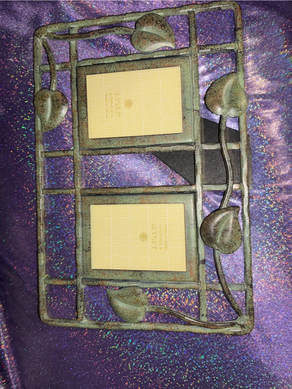 Vintage Vines Picture Frame